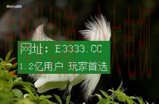 凯时平台入口官方网站