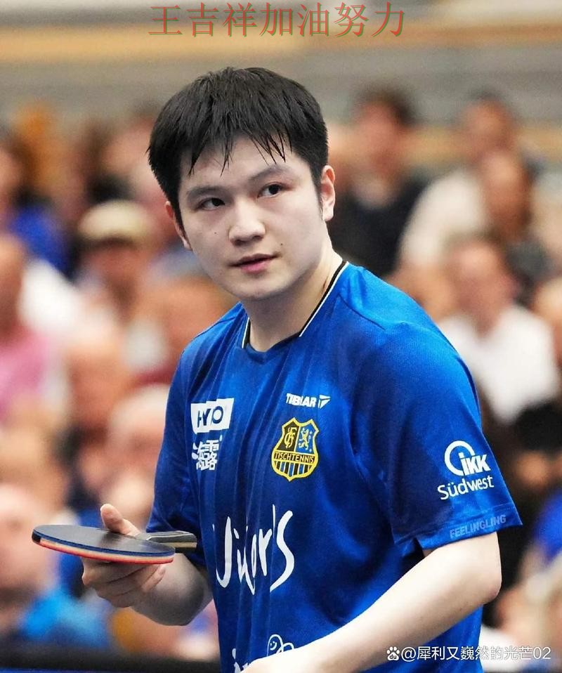 樊振东最新动态引发关注 赛后分析指出关键问题